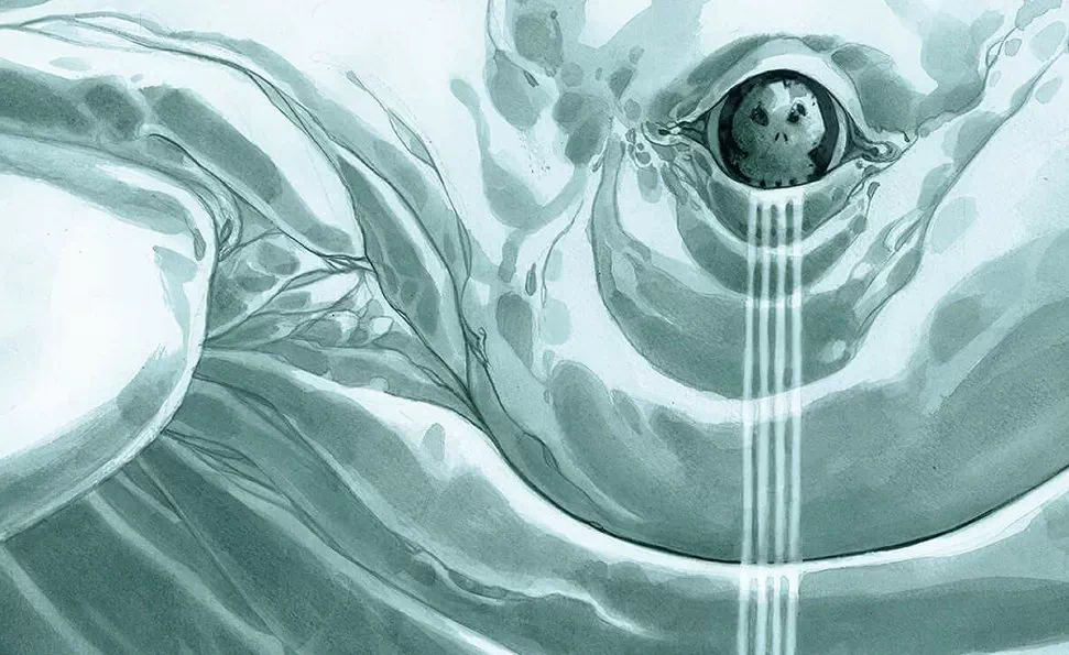 La Baleine blanche des mers mortes