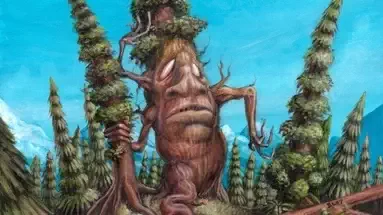 Redwood Tree Folk par Steve Luke