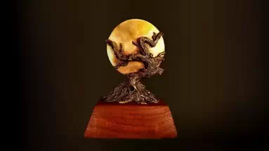 Les finalistes des 2024 W ...